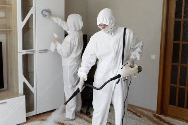 Best Mold Removal Process  in Westchester, FL