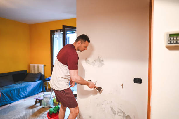 Best Professional Mold Removal  in Westchester, FL